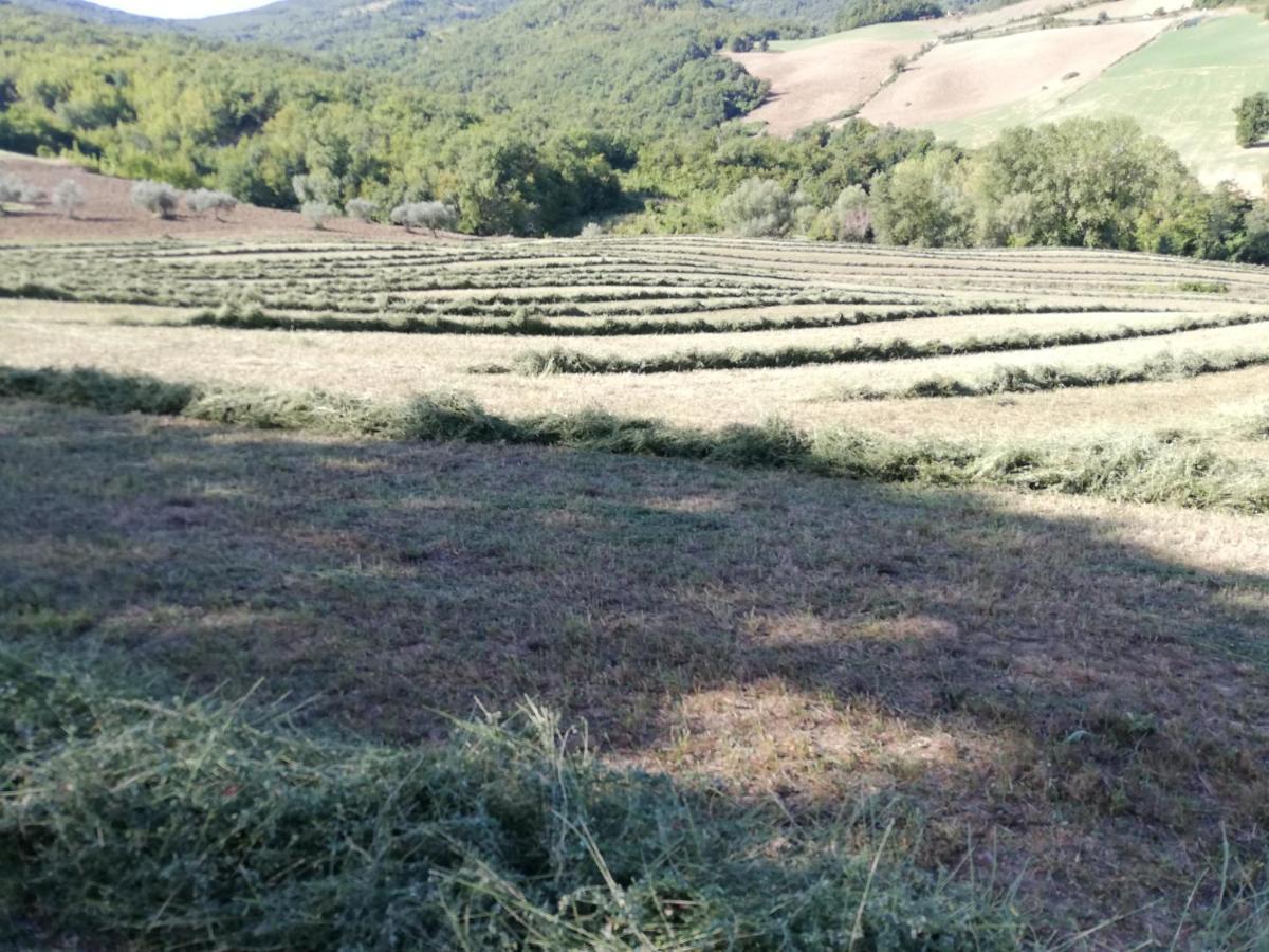 Casa A Montebello Di Bertona Con Vista Gran Sasso Extérieur photo